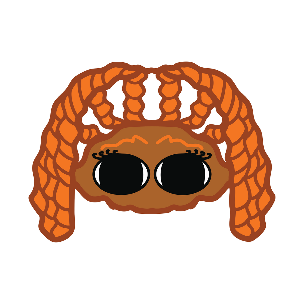 BRAID