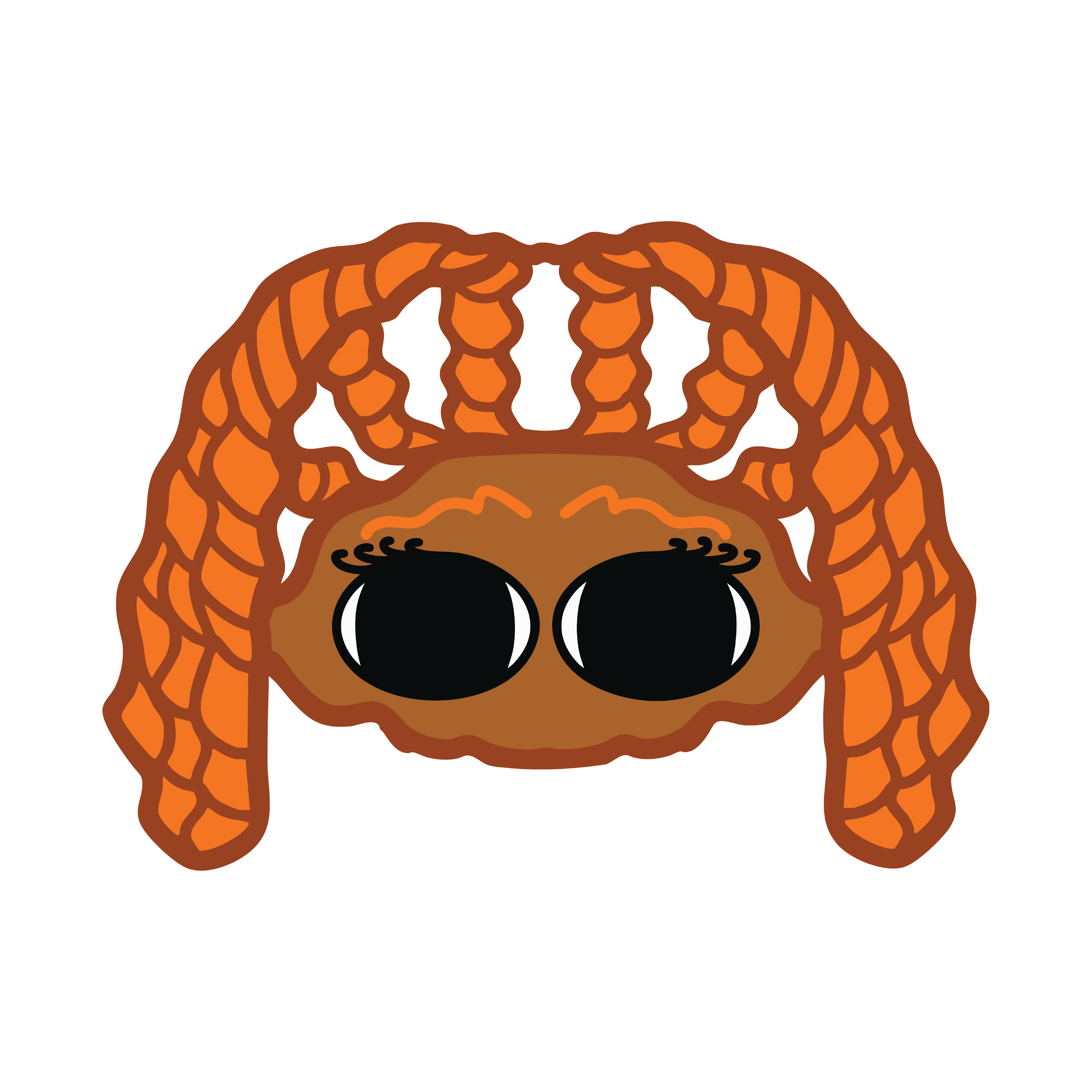 BRAID